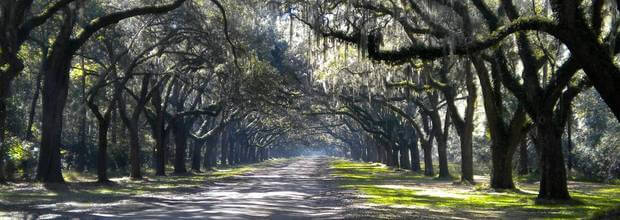 Top 10 Wheelchair Accessible Things to Do in Georgia