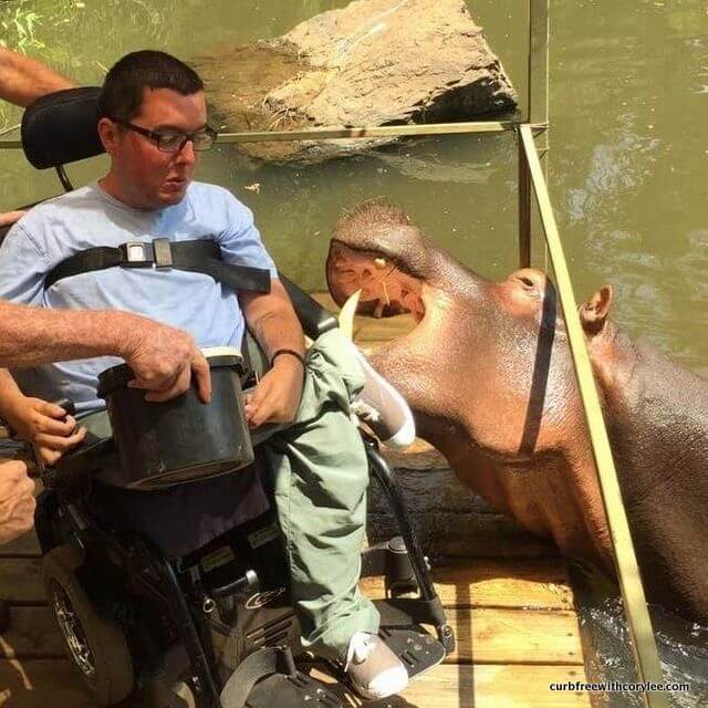 Close encounter with a hippo in South Africa!