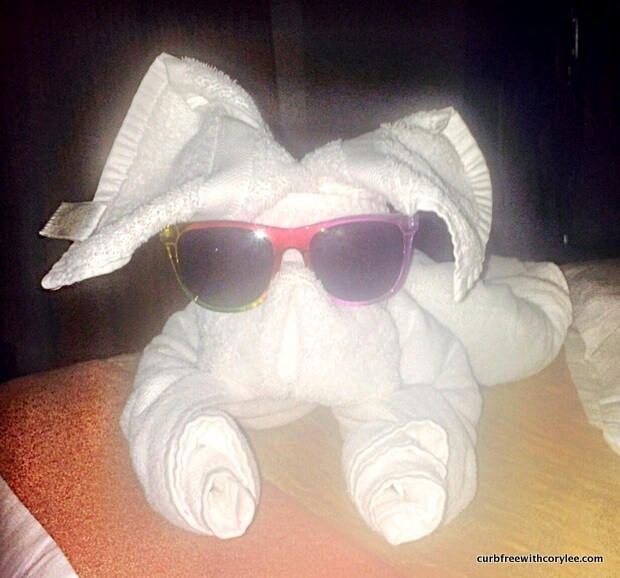 wheelchair accessible cruises