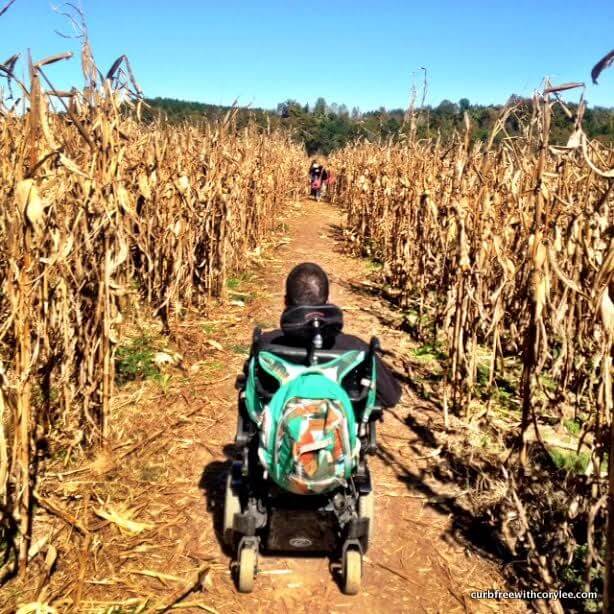 A Visit to Old McDonald’s Farm… E-I-E-I-O!