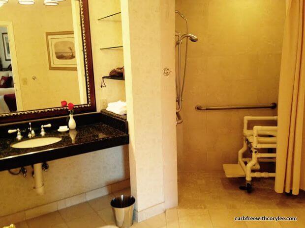 Large bathroom with a roll in shower