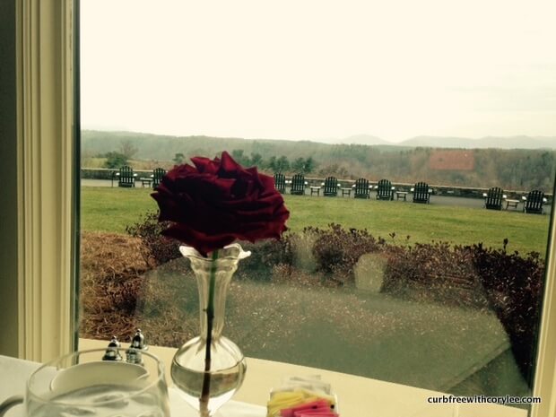 View from my breakfast table