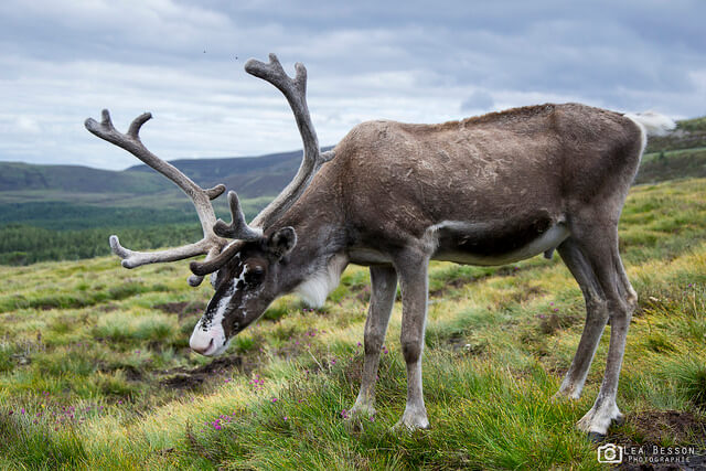 helsinki finland wheelchair accessible winter