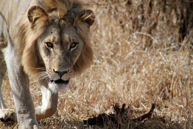 Photo by flowcomm via Flickr