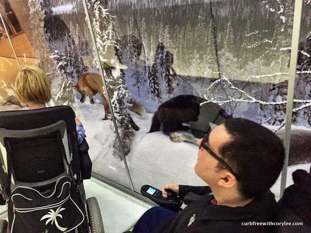 Exploring Haltia with Sanna