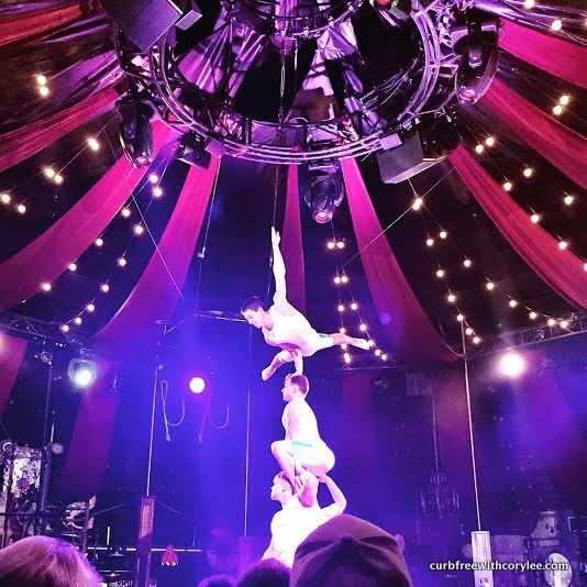 Some of the spectacular performers of Absinthe