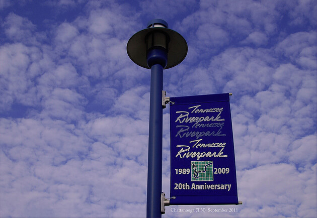 Photo courtesy of Ron Cogswell via Flickr