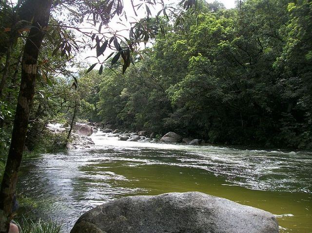 wheelchair accessible walks queensland australia