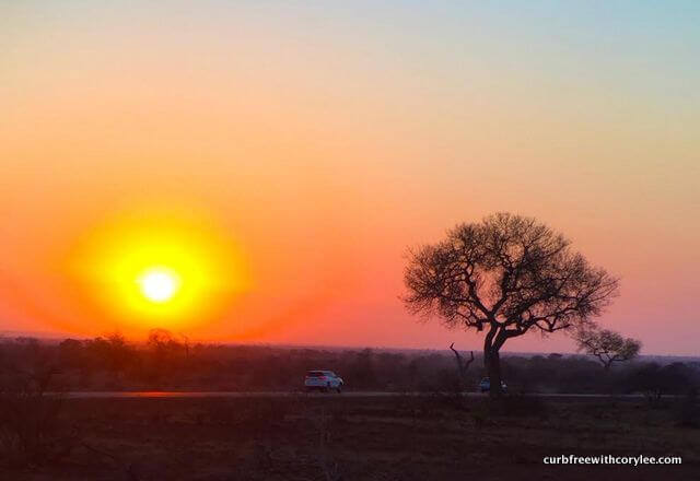  wheelchair accessible safari, disabled safari holiday, kruger national park south africa