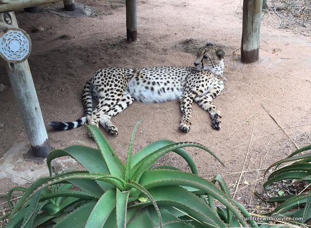 Ntombi hanging out under someone's bungalow 