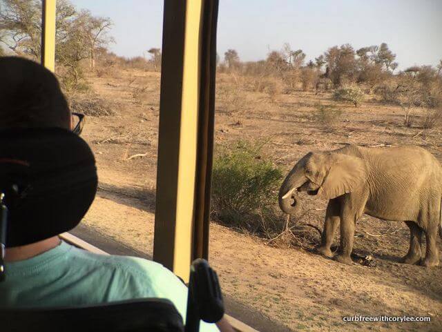  wheelchair accessible safari, disabled safari holiday, kruger national park south africa