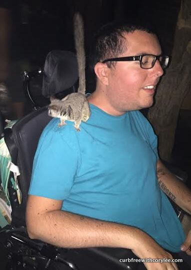 Bush baby on my shoulder
