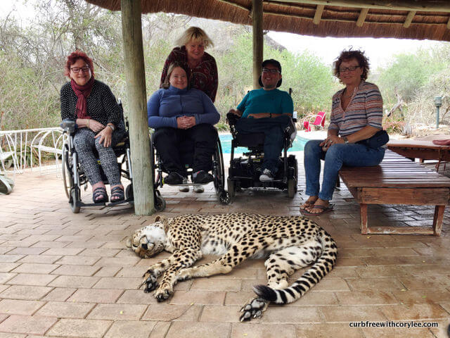  why go on safari south africa