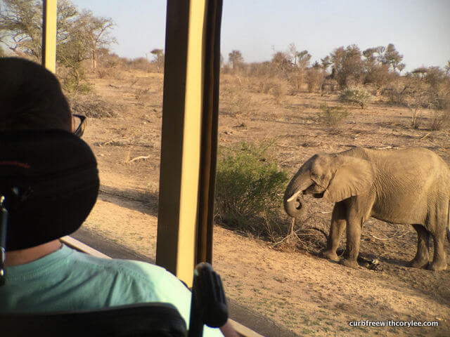 why go on safari south africa 