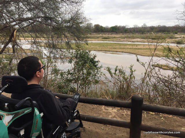  why go on safari south africa