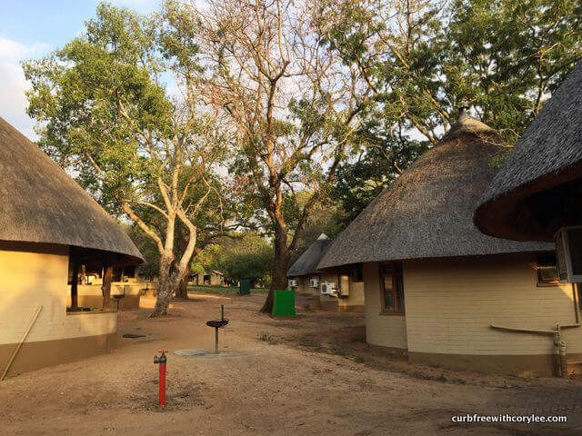  why go on safari south africa