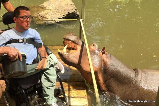That time a hippo attacked me in South Africa…