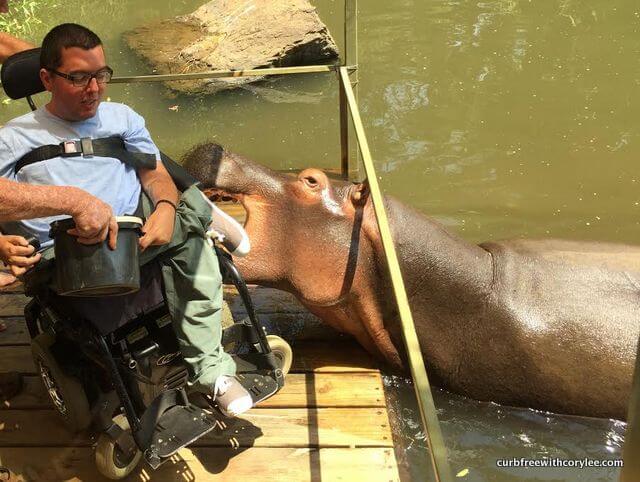 Jessica the hippo attack south africa