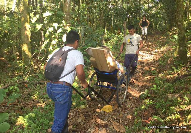 Hiking in the Amazon Rainforest as a Wheelchair User