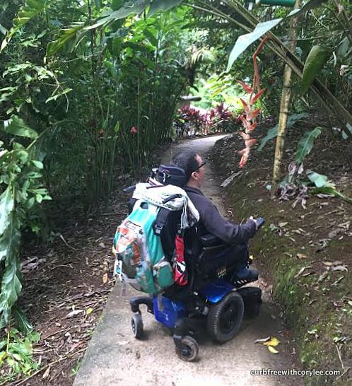  amazon rainforest wheelchair accessible