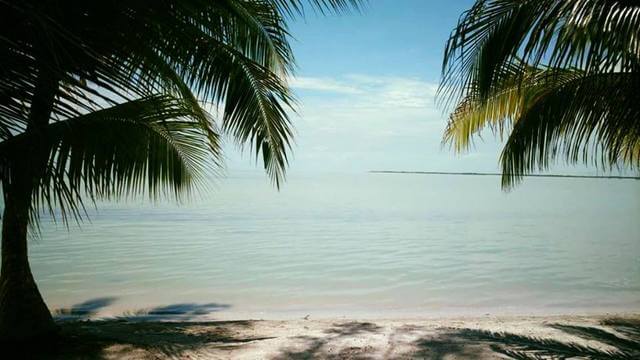 Image courtesy of Freedom Shores