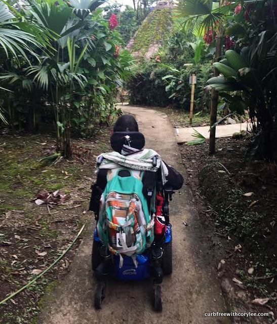 wheelchair accessible huasquila amazon lodge review