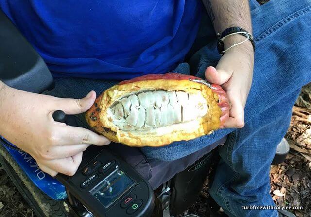 kallari chocolate tour ecuador