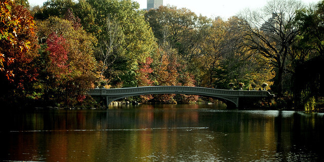 Central Park. Image courtesy of Matthew Buchanan via Flickr