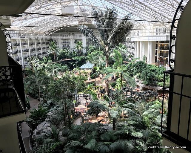 View from my balcony