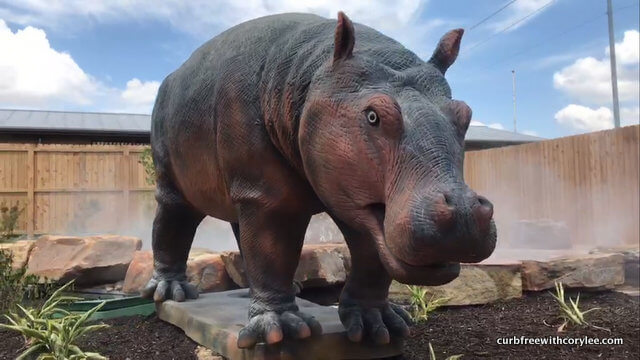 Access travel, wheelchair accessible water park, Morgan’s inspiration island, handicap accessible water park, best water parks in the US 