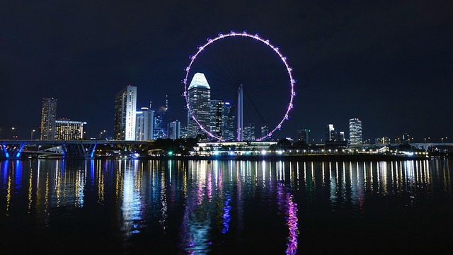 Wheelchair Accessible Things to Do in Singapore