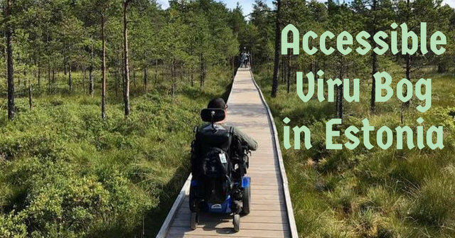 Trekking Through the Wheelchair Accessible Viru Bog in Estonia