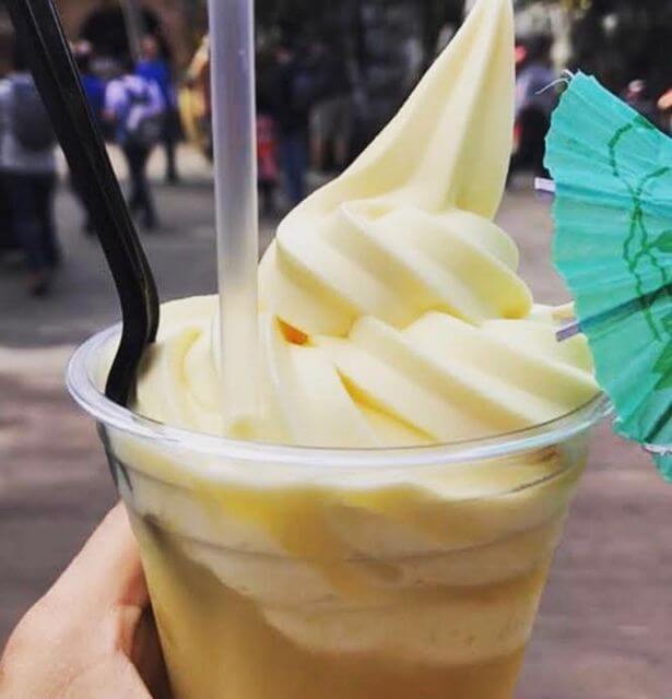 Disney World disability access, dole whip, Wheelchair accessible disney world, disney world wheelchair rental, disney disability pass, disney access pass, disney world accessibility