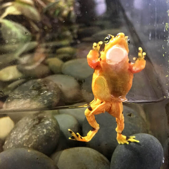 “I’m ready for my closeup.”