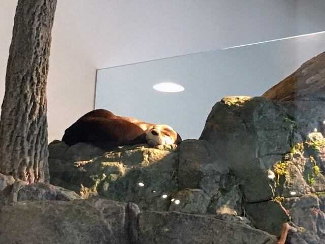 I didn’t think it was real at first.