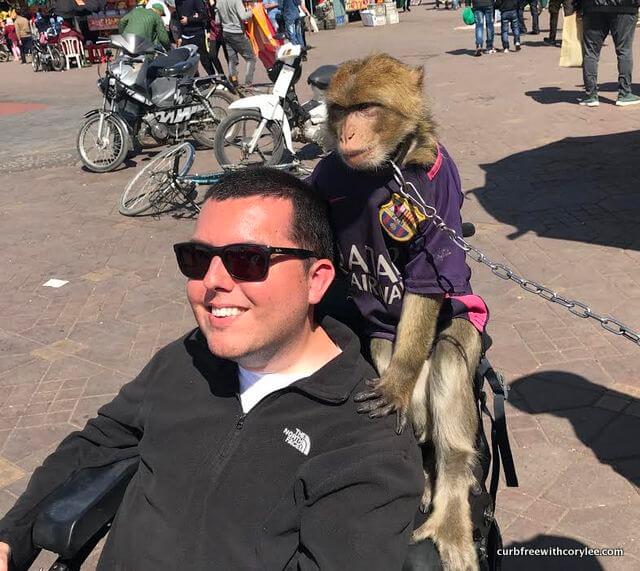  what to do in Marrakech, things to do in Marrakech Morocco