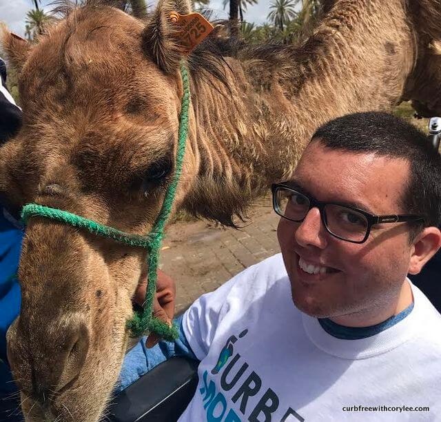  things to do in Marrakech Morocco