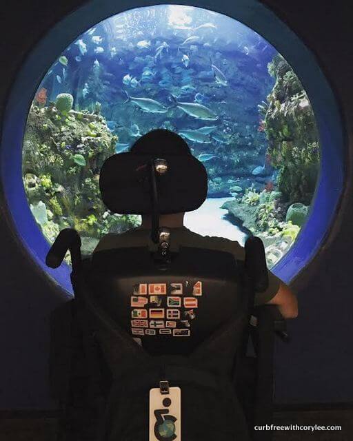 fun things to do in Wilmington NC