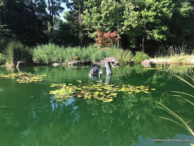 fun things to do in Wilmington NC