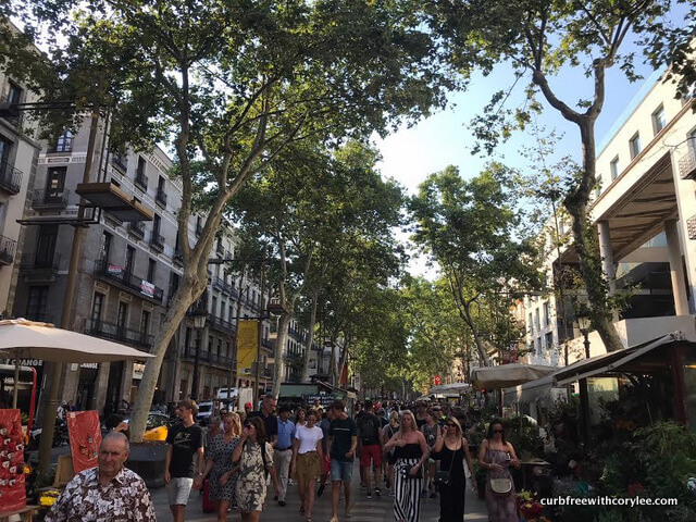 Barcelona wheelchair access guide, things to do in barcelona, barcelona tourist information, wheelchair accessible barcelona, barcelona travel guide