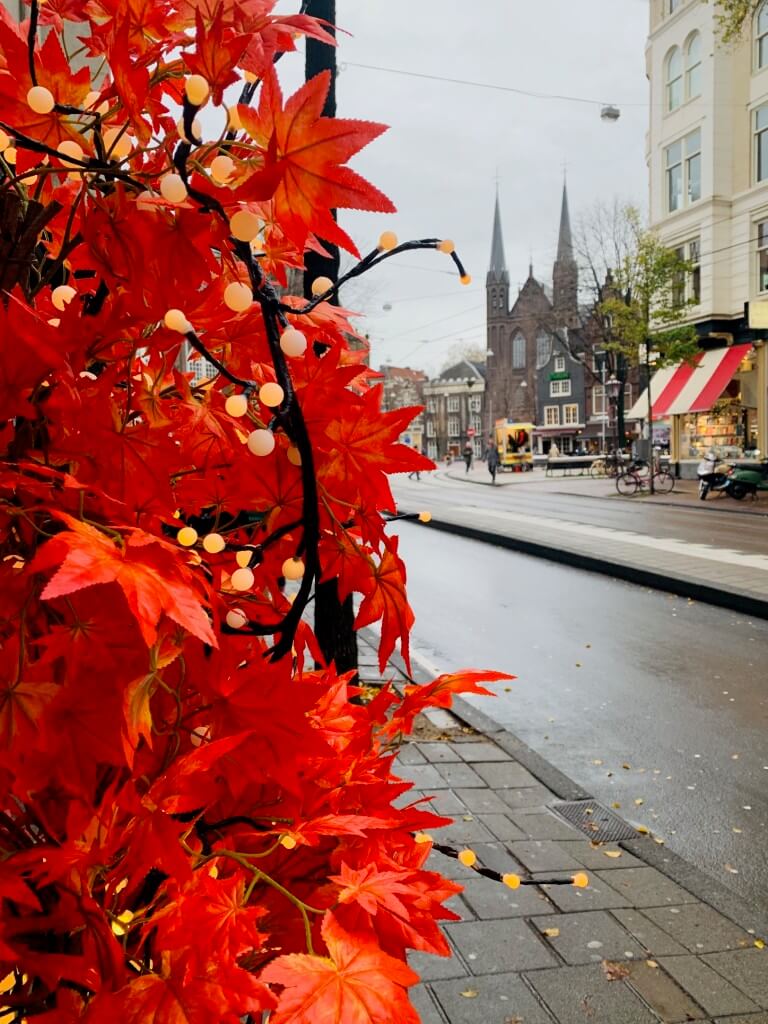  what to do in Amsterdam in 2 days