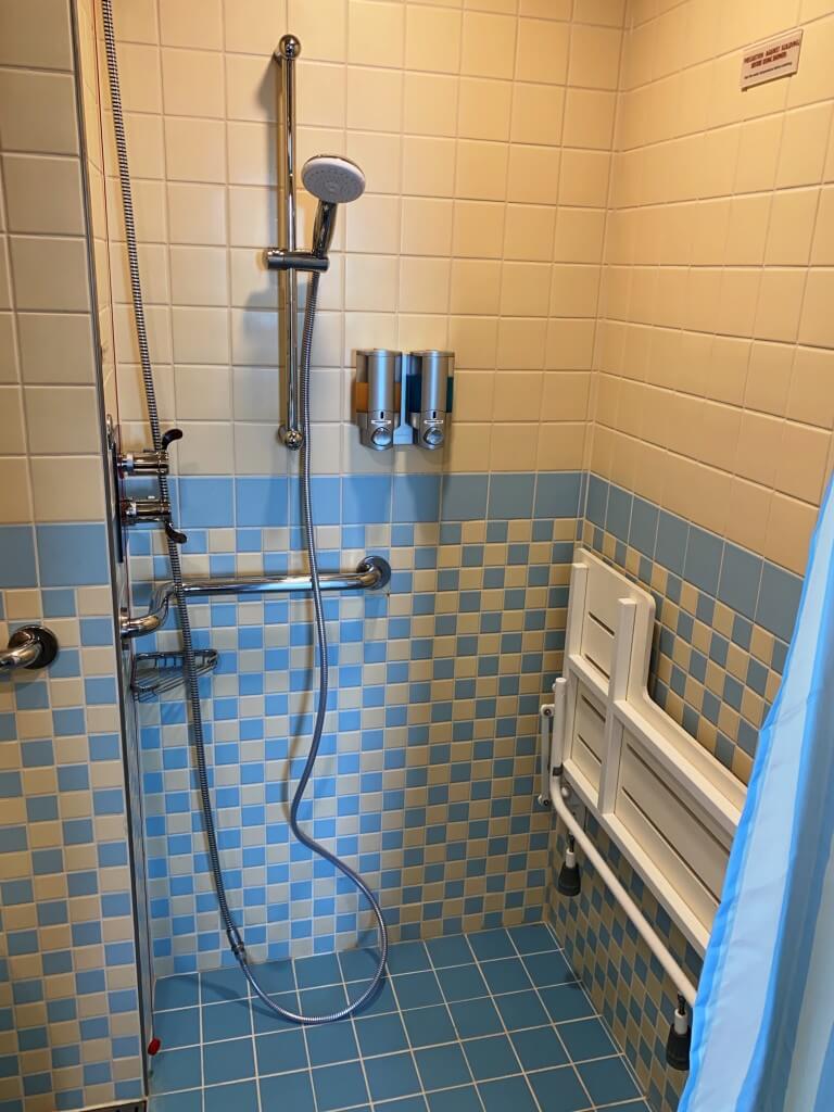  Carnival Horizon wheelchair accessible