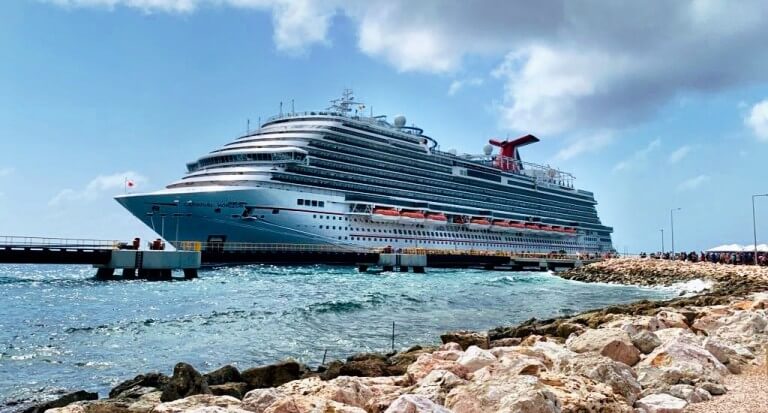 10 Wheelchair Accessible Cruises to Consider for Your Next Vacation