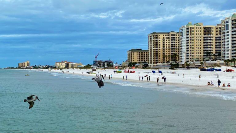 8 Wheelchair Accessible Things to Do in Clearwater, Florida (and Surrounding Cities)
