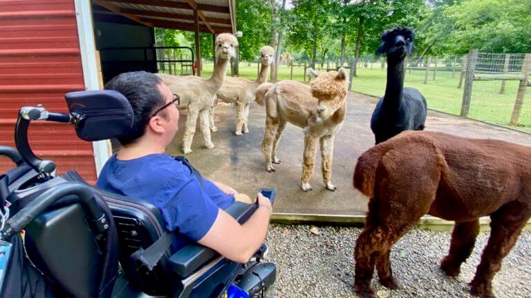 A Fun Wheelchair Accessible Getaway to an Alpaca Farm in North Carolina