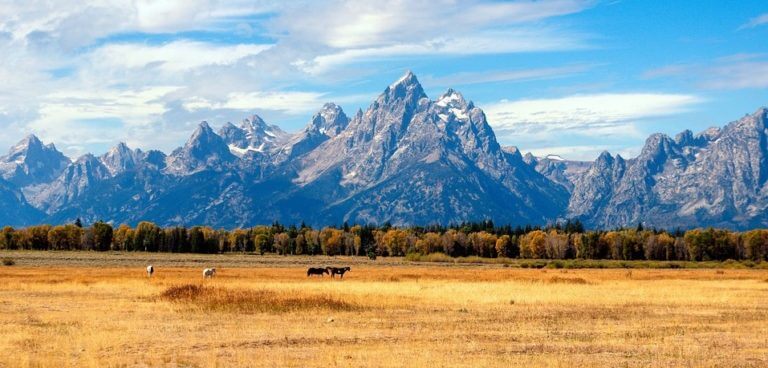 A Wheelchair Accessible Jackson Hole, Wyoming Travel Guide