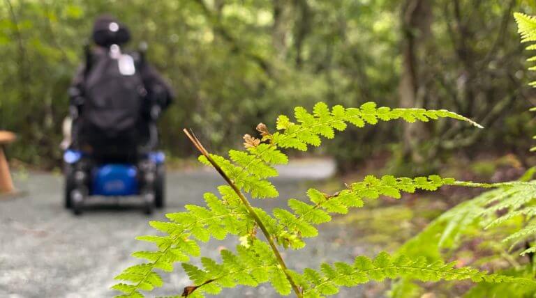A Wheelchair Accessible Shenandoah National Park Travel Guide: What to Do and Where to Stay