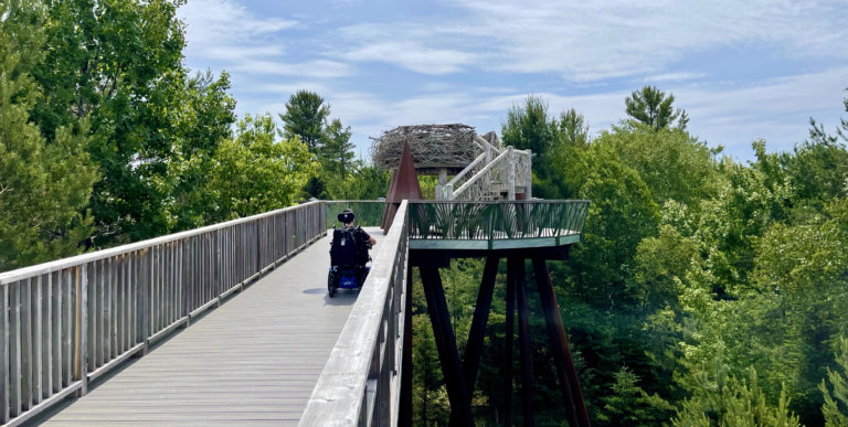 Experiencing The Wild Center as a Wheelchair User (and Why It May Be the Adirondacks’ Best Attraction)